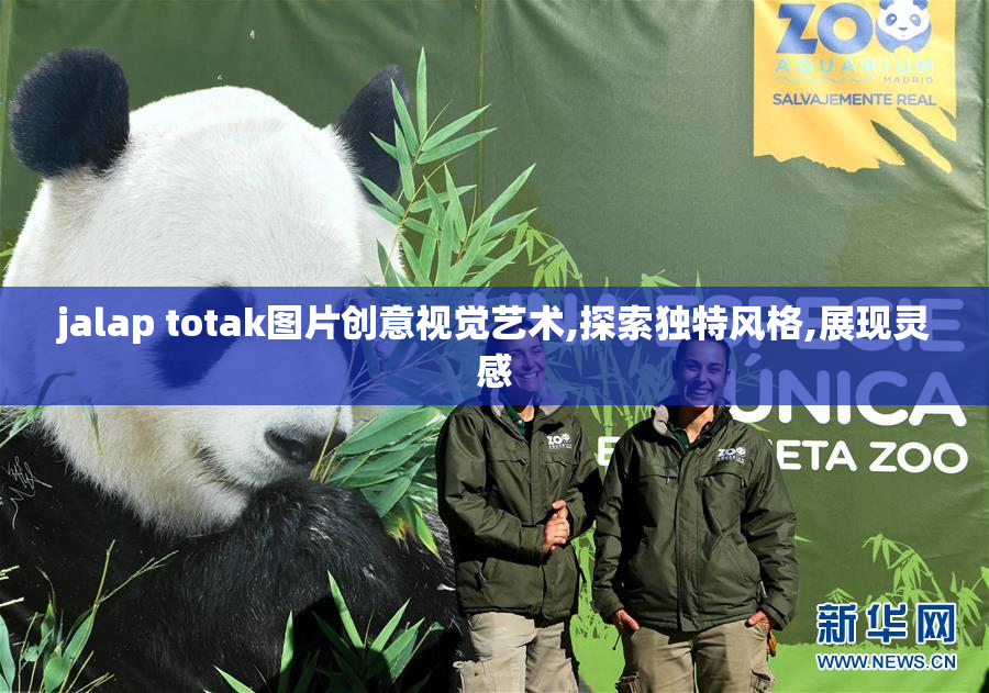 jalap totak图片创意视觉艺术,探索独特风格,展现灵感