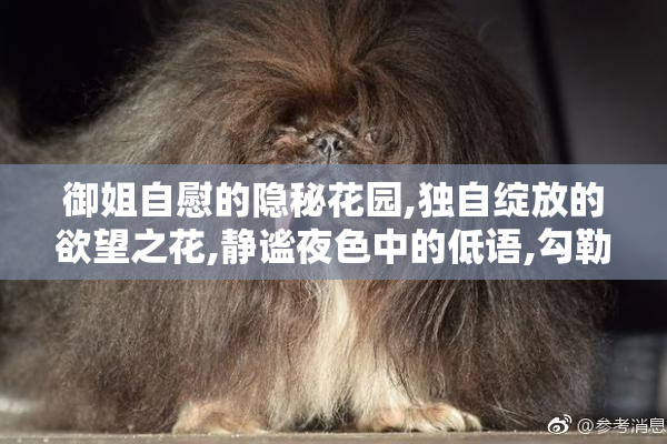 御姐自慰的隐秘花园,独自绽放的欲望之花,静谧夜色中的低语,勾勒
