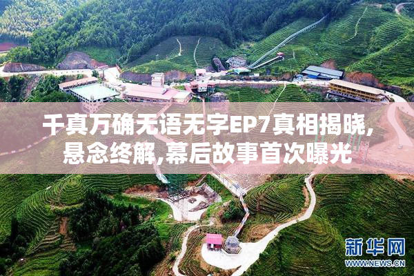 千真万确无语无字EP7真相揭晓,悬念终解,幕后故事首次曝光