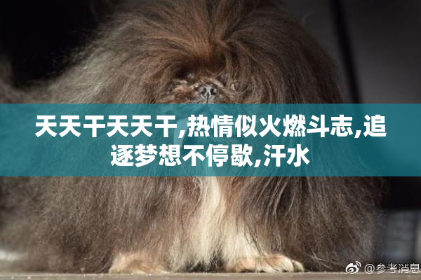 天天干天天干,热情似火燃斗志,追逐梦想不停歇,汗水