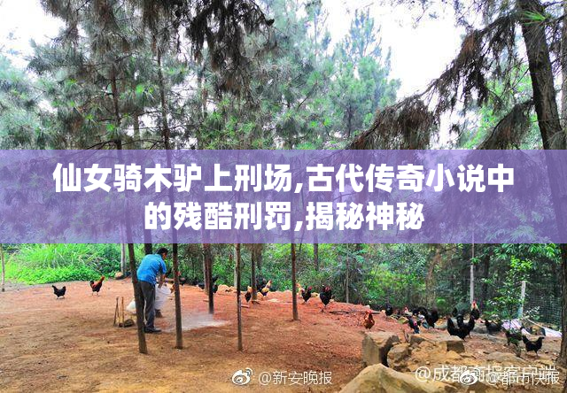 仙女骑木驴上刑场,古代传奇小说中的残酷刑罚,揭秘神秘