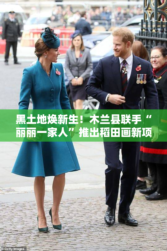 黑土地焕新生！木兰县联手“丽丽一家人”推出稻田画新项目