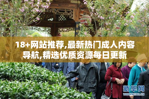 18+网站推荐,最新热门成人内容导航,精选优质资源每日更新