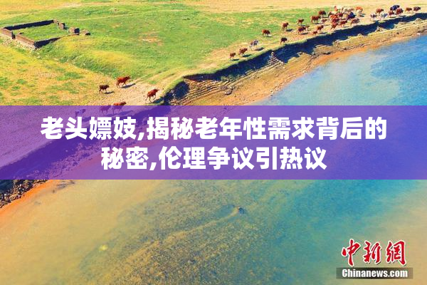 老头嫖妓,揭秘老年性需求背后的秘密,伦理争议引热议