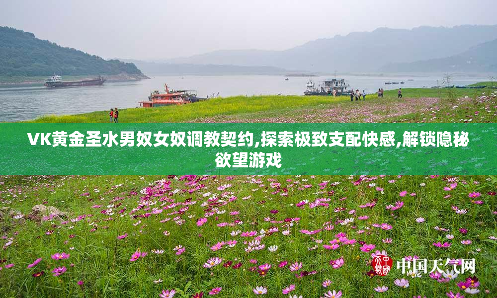 VK黄金圣水男奴女奴调教契约,探索极致支配快感,解锁隐秘欲望游戏