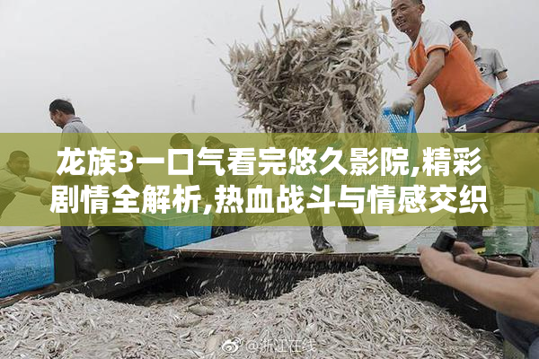 龙族3一口气看完悠久影院,精彩剧情全解析,热血战斗与情感交织的