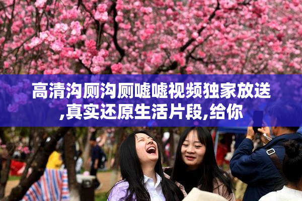 高清沟厕沟厕嘘嘘视频独家放送,真实还原生活片段,给你