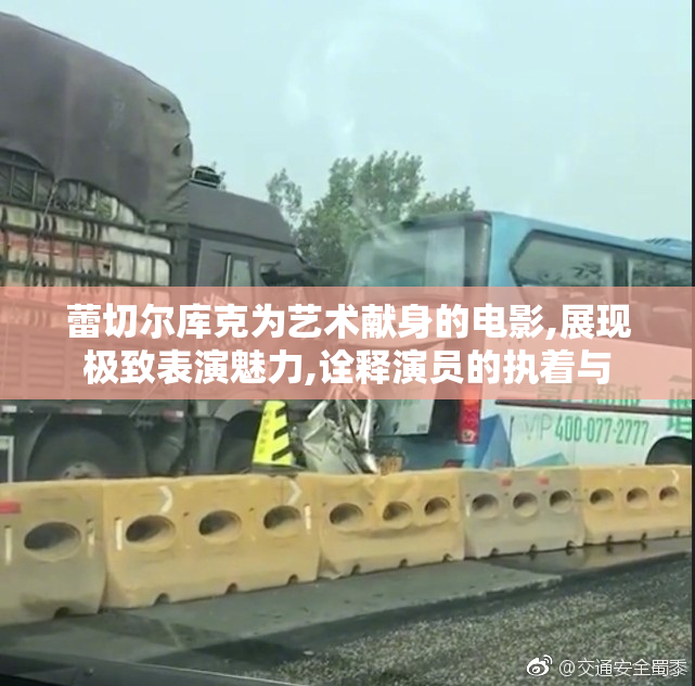 蕾切尔库克为艺术献身的电影,展现极致表演魅力,诠释演员的执着与
