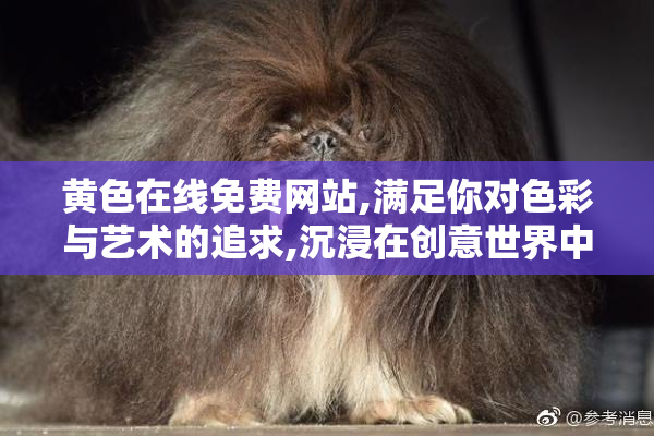 黄色在线免费网站,满足你对色彩与艺术的追求,沉浸在创意世界中