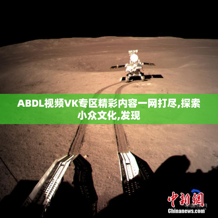 ABDL视频VK专区精彩内容一网打尽,探索小众文化,发现