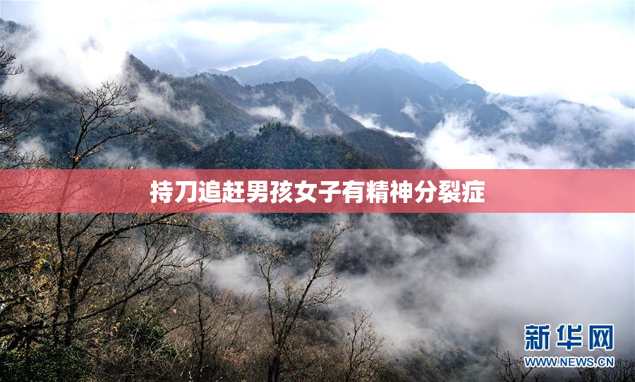 持刀追赶男孩女子有精神分裂症