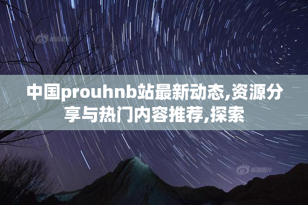 中国prouhnb站最新动态,资源分享与热门内容推荐,探索