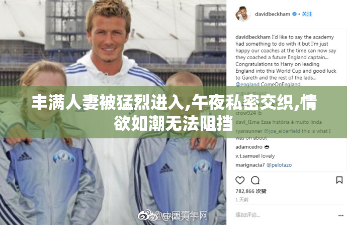 丰满人妻被猛烈进入,午夜私密交织,情欲如潮无法阻挡