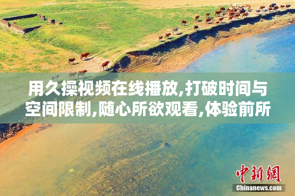 用久操视频在线播放,打破时间与空间限制,随心所欲观看,体验前所