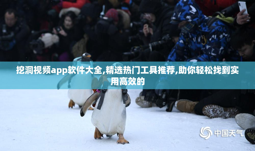 挖洞视频app软件大全,精选热门工具推荐,助你轻松找到实用高效的