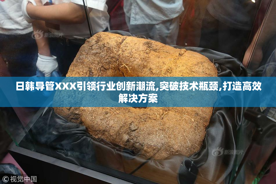 日韩导管XXX引领行业创新潮流,突破技术瓶颈,打造高效解决方案