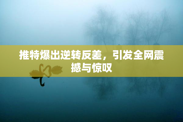 推特爆出逆转反差，引发全网震撼与惊叹