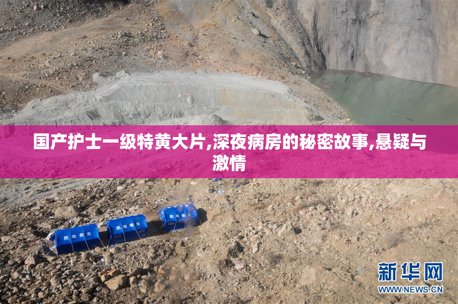国产护士一级特黄大片,深夜病房的秘密故事,悬疑与激情
