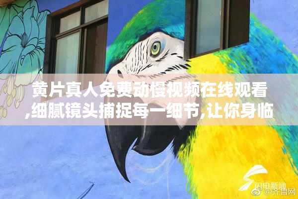黄片真人免费动慢视频在线观看,细腻镜头捕捉每一细节,让你身临其
