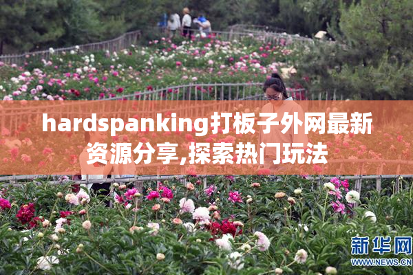 hardspanking打板子外网最新资源分享,探索热门玩法