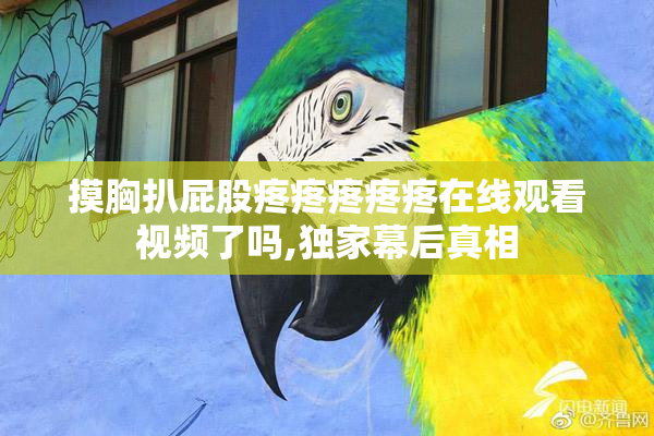 摸胸扒屁股疼疼疼疼疼在线观看视频了吗,独家幕后真相