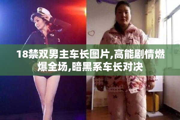 18禁双男主车长图片,高能剧情燃爆全场,暗黑系车长对决