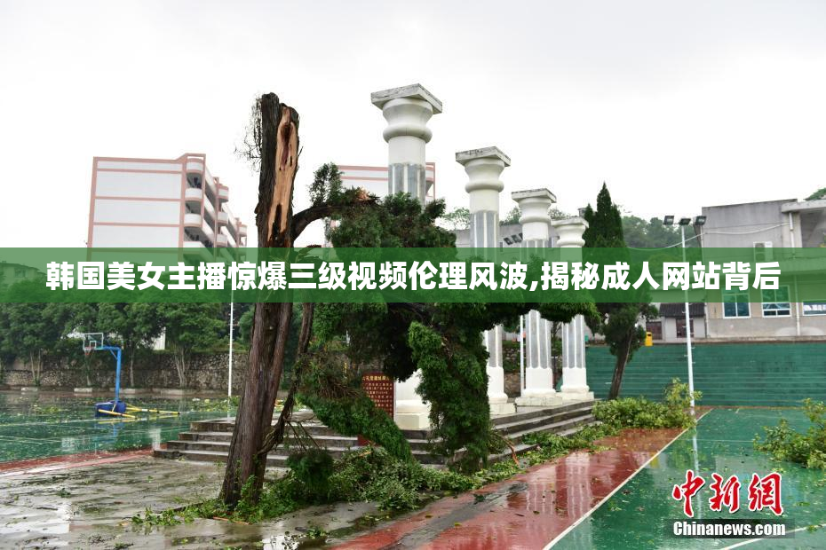 韩国美女主播惊爆三级视频伦理风波,揭秘成人网站背后