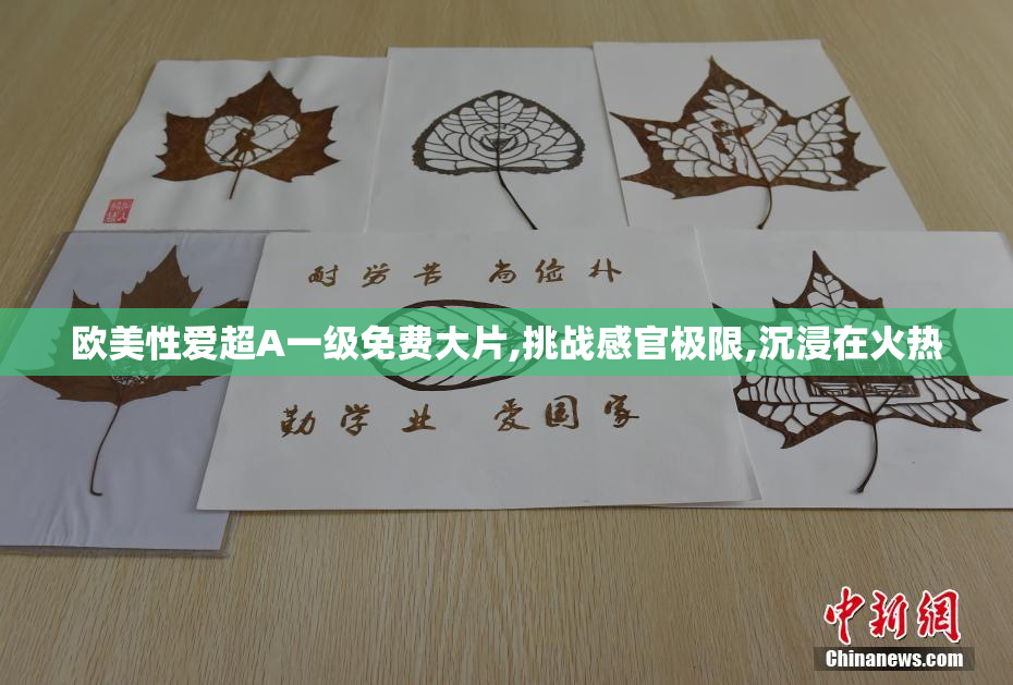 欧美性爱超A一级免费大片,挑战感官极限,沉浸在火热