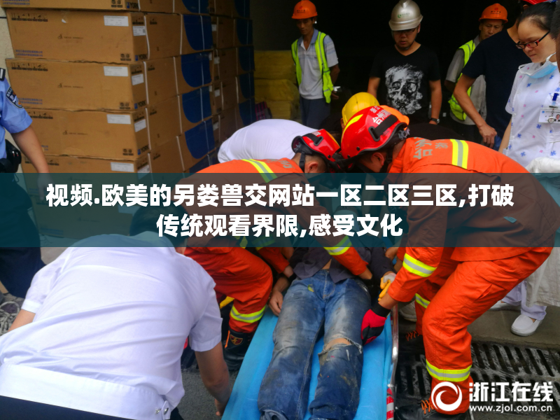 视频.欧美的另娄兽交网站一区二区三区,打破传统观看界限,感受文化