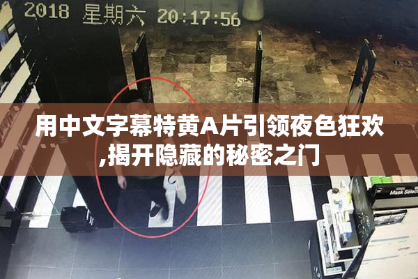 用中文字幕特黄A片引领夜色狂欢,揭开隐藏的秘密之门