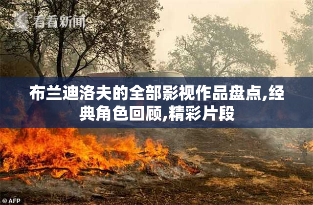 布兰迪洛夫的全部影视作品盘点,经典角色回顾,精彩片段