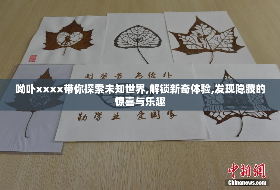 呦卟xxxx带你探索未知世界,解锁新奇体验,发现隐藏的惊喜与乐趣