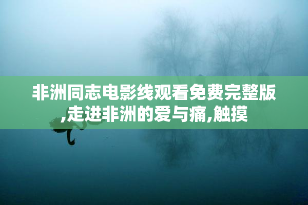 非洲同志电影线观看免费完整版,走进非洲的爱与痛,触摸