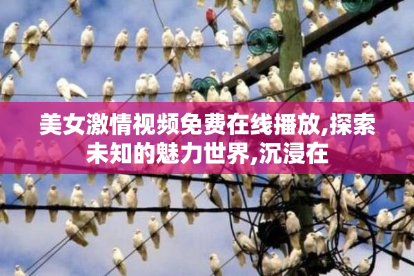 美女激情视频免费在线播放,探索未知的魅力世界,沉浸在