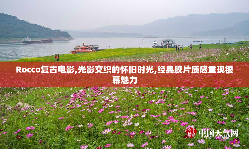 Rocco复古电影,光影交织的怀旧时光,经典胶片质感重现银幕魅力