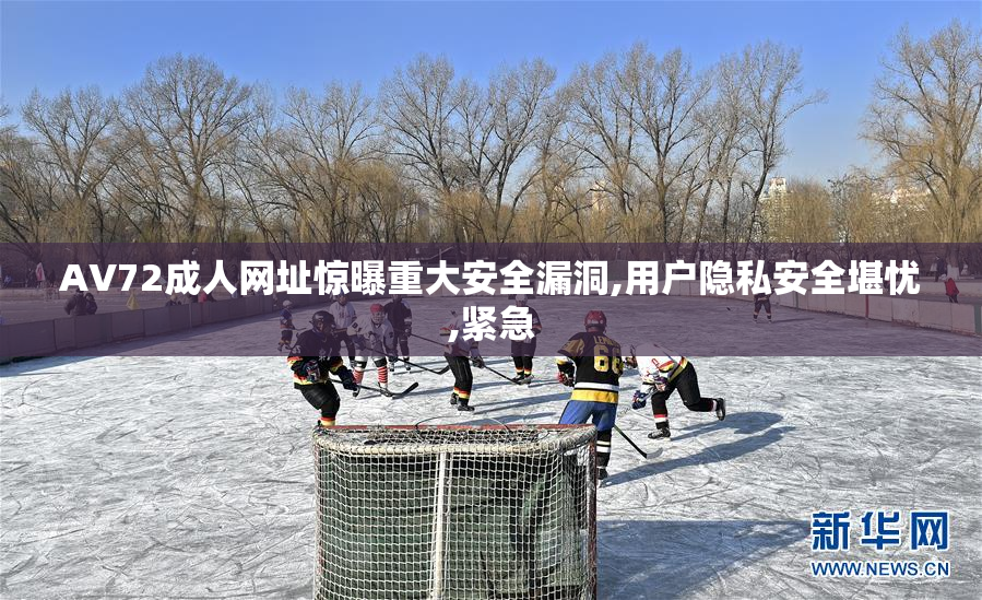 AV72成人网址惊曝重大安全漏洞,用户隐私安全堪忧,紧急