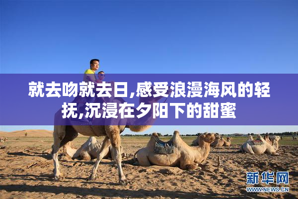 就去吻就去日,感受浪漫海风的轻抚,沉浸在夕阳下的甜蜜