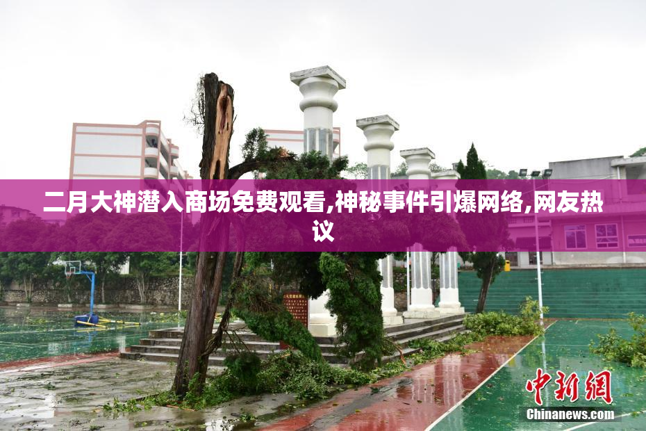 二月大神潜入商场免费观看,神秘事件引爆网络,网友热议