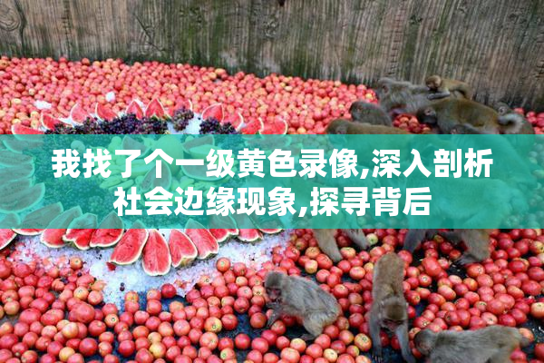 我找了个一级黄色录像,深入剖析社会边缘现象,探寻背后