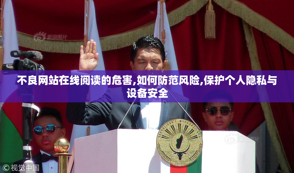 不良网站在线阅读的危害,如何防范风险,保护个人隐私与设备安全