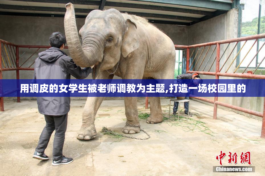 用调皮的女学生被老师调教为主题,打造一场校园里的