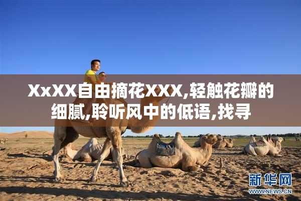 XxXX自由摘花XXX,轻触花瓣的细腻,聆听风中的低语,找寻