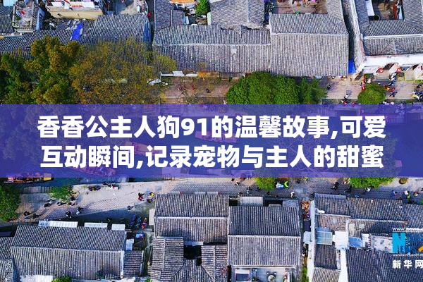 香香公主人狗91的温馨故事,可爱互动瞬间,记录宠物与主人的甜蜜日常