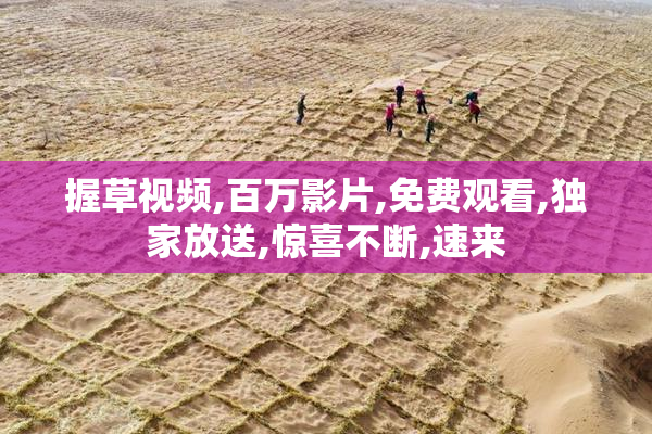 握草视频,百万影片,免费观看,独家放送,惊喜不断,速来