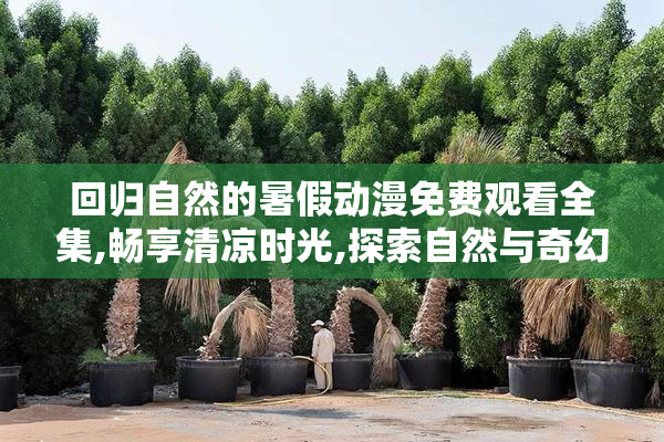 回归自然的暑假动漫免费观看全集,畅享清凉时光,探索自然与奇幻的