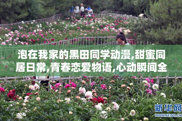 泡在我家的黑田同学动漫,甜蜜同居日常,青春恋爱物语,心动瞬间全记录