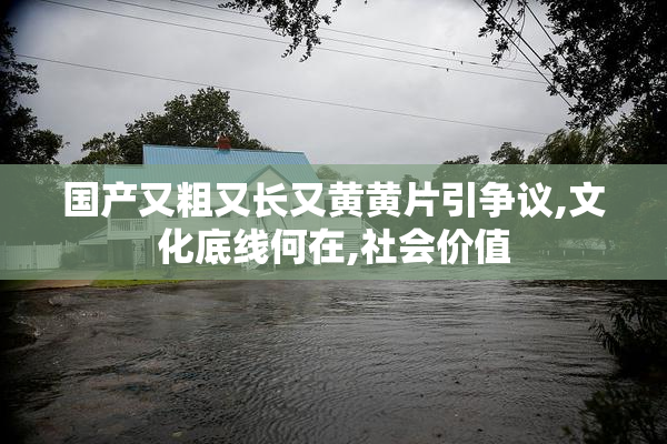 国产又粗又长又黄黄片引争议,文化底线何在,社会价值