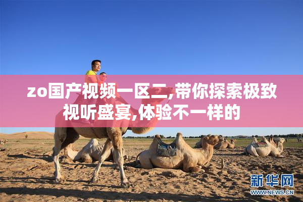 zo国产视频一区二,带你探索极致视听盛宴,体验不一样的