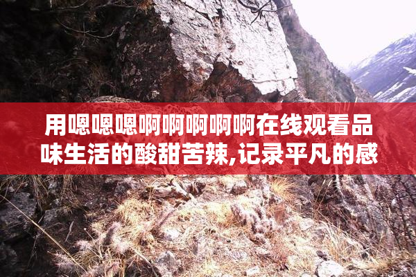 用嗯嗯嗯啊啊啊啊啊在线观看品味生活的酸甜苦辣,记录平凡的感动