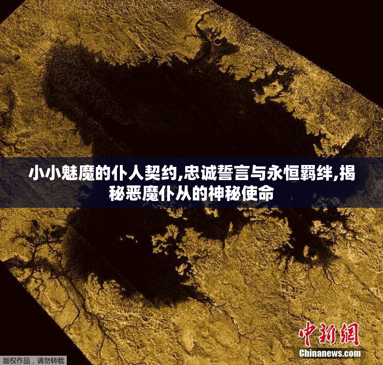 小小魅魔的仆人契约,忠诚誓言与永恒羁绊,揭秘恶魔仆从的神秘使命